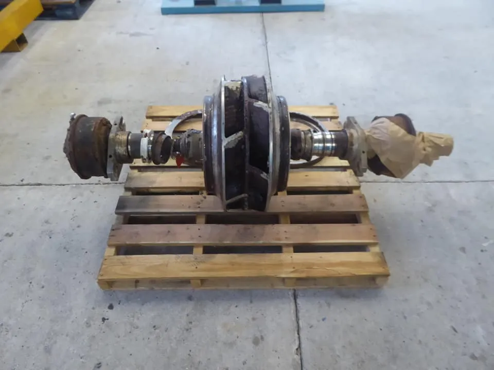 Paper Mill Pump